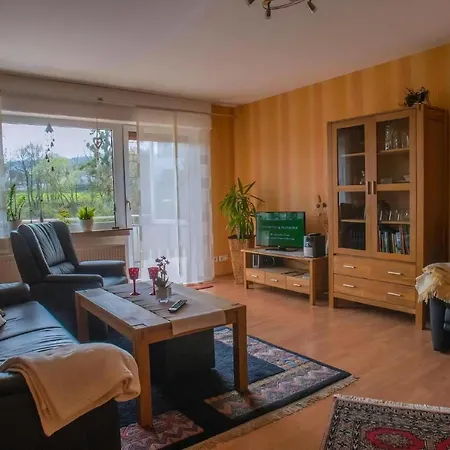 Apartment Grosse In Mit Garten Und Grill Polle